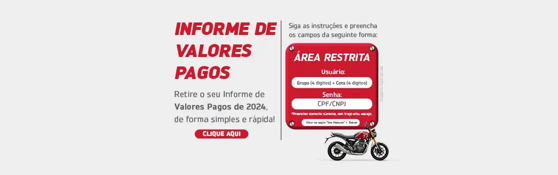 Informe de Valores Pagos 2024